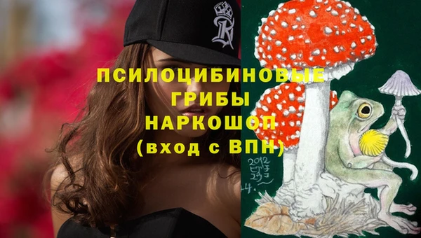 тгк Абинск