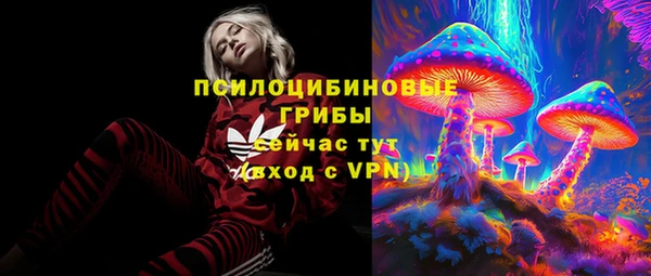 тгк Абинск
