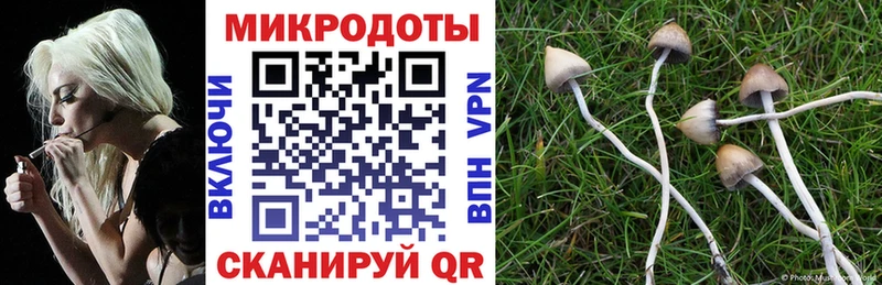 дарнет шоп  Братск  Галлюциногенные грибы Psilocybine cubensis 