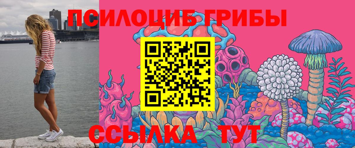 Галлюциногенные грибы MAGIC MUSHROOMS  Галлюциногенные грибы ЛСД  Вход с VPN  Братск 