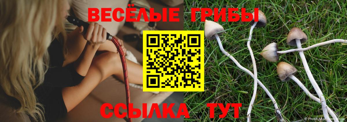 Псилоцибиновые грибы Magic Shrooms Братск